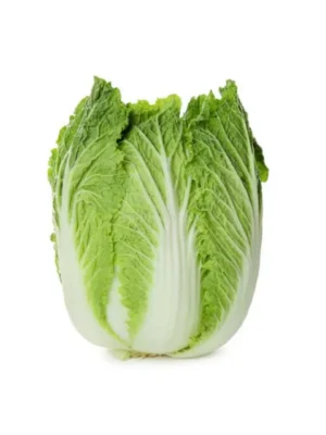 CHINESE CABBAGE, SINGLE PCS