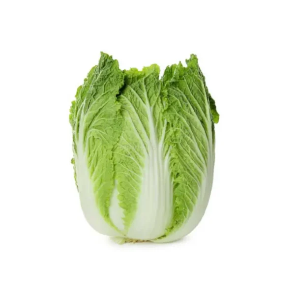 CHINESE CABBAGE, SINGLE PCS