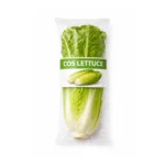 COS LETTUCE, SINGLE PACK
