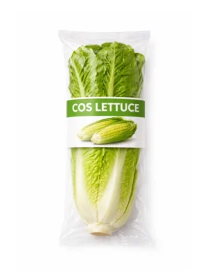 COS LETTUCE, SINGLE PACK