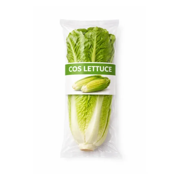 COS LETTUCE, SINGLE PACK