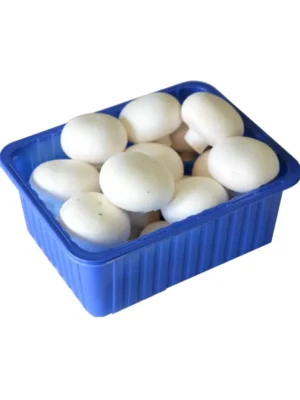 CUP MUSHROOM, 400 GRAM PUNNET