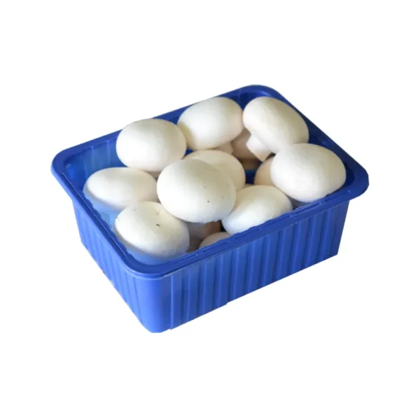 CUP MUSHROOM, 400 GRAM PUNNET