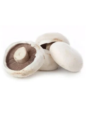 FLAT MUSHROOM 100 GRAM