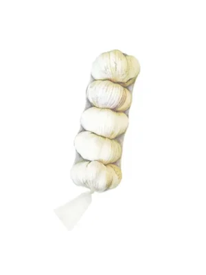 GARLIC, 5 PACK