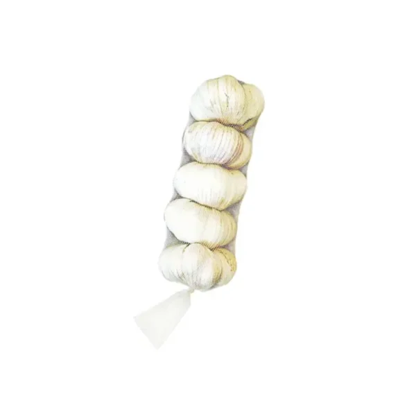 GARLIC, 5 PACK