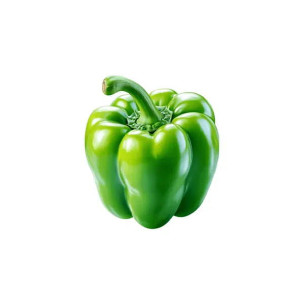 GREEN PEPPER, SINGLE PCS