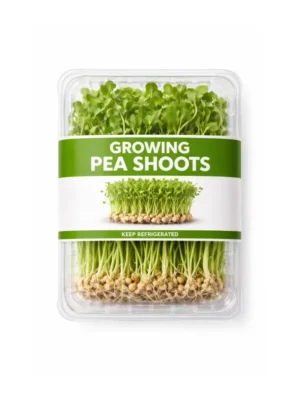 GROWING PEA SHOOTS, PUNNET