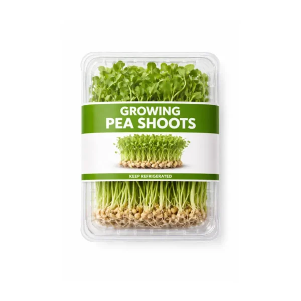 GROWING PEA SHOOTS, PUNNET