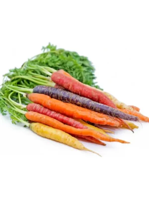 HARITAGE CARROT, BUNCHES