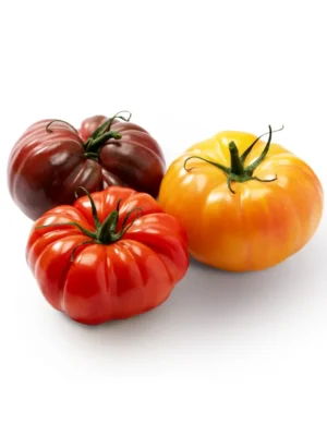 HARITAGE TOMATOES