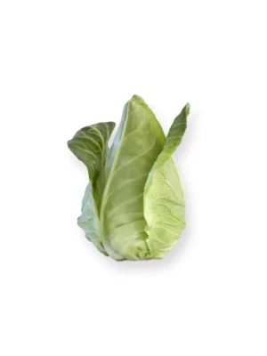 HISPI CABBAGE, SINGLE PCS
