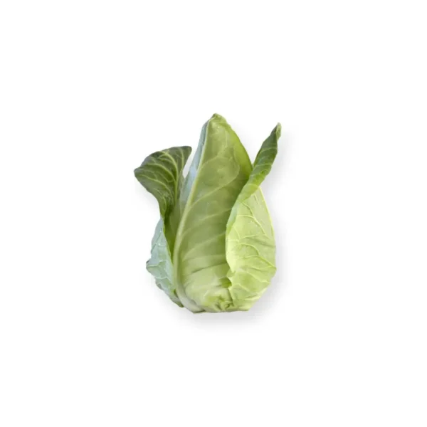HISPI CABBAGE, SINGLE PCS