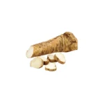 HORSE RADDISH, SINGLE STICK