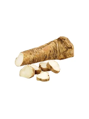 HORSE RADDISH, SINGLE STICK