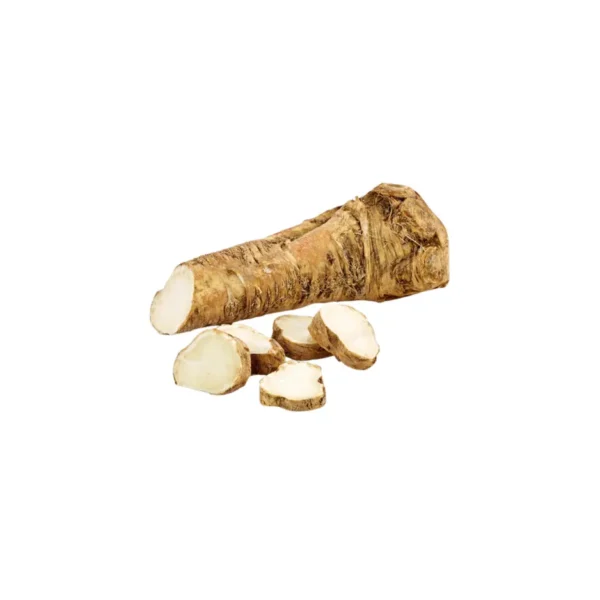 HORSE RADDISH, SINGLE STICK