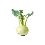 KOHLRABI, SINGLE ROOT