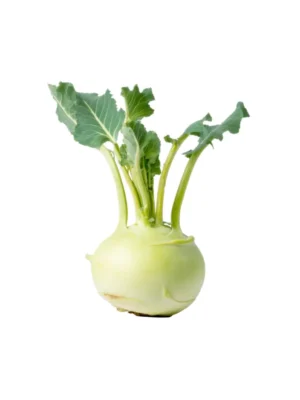 KOHLRABI, SINGLE ROOT