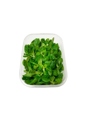 LAMB LETTUCE, PUNNET