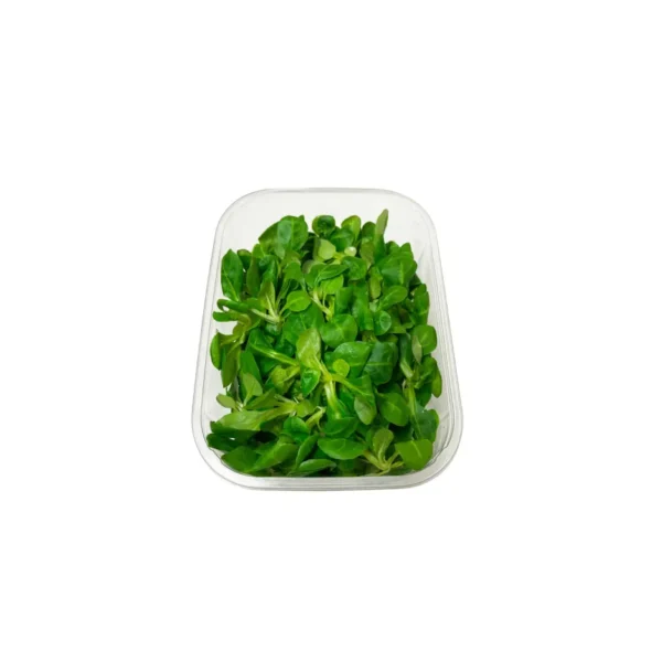 LAMB LETTUCE, PUNNET