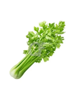 LEAFY CELEY, SINGLE BUNCH