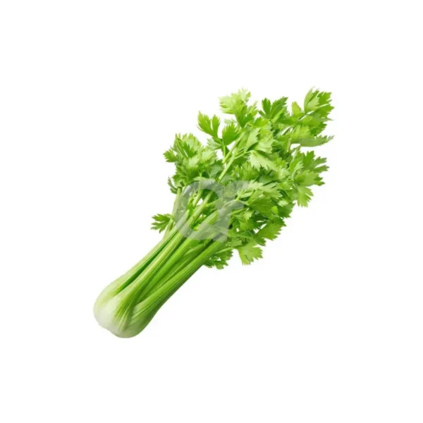 LEAFY CELEY, SINGLE BUNCH
