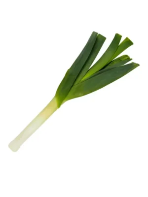 LEEK STICK