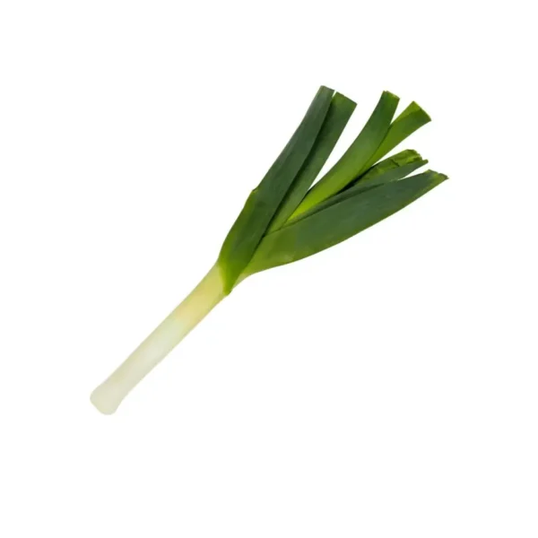 LEEK STICK