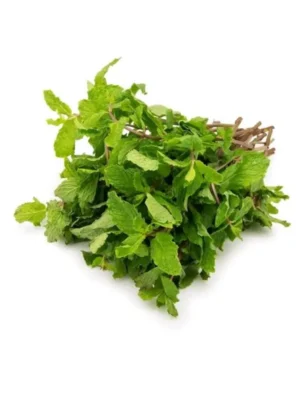 MINT, BUNCH