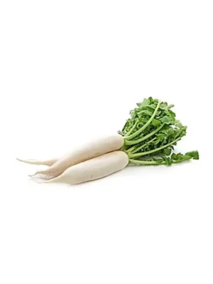 MOOLI STICK