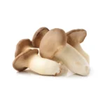OYSTER KING MUSHROOM