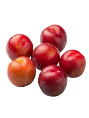 PLUM, PUNNET