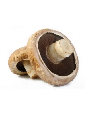 PORTOBELLO MUSHROOM