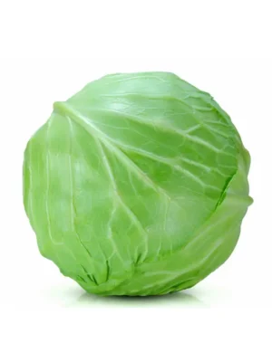 PRIMO CABBAGE, SINGLE PCS