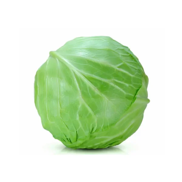 PRIMO CABBAGE, SINGLE PCS