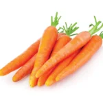 CARROTS
