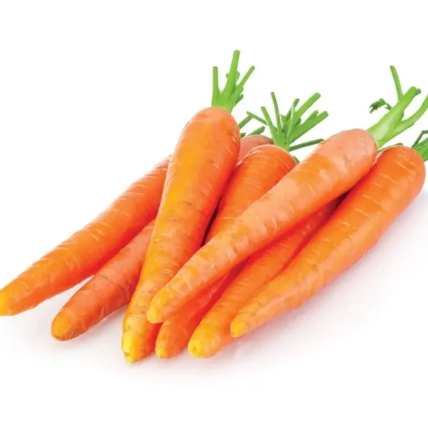 CARROTS