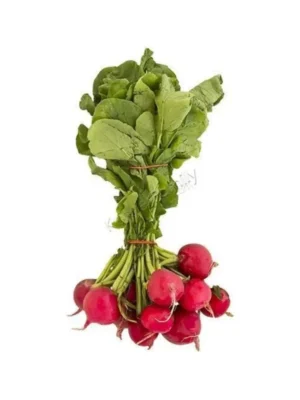 RADISH, BUNCH
