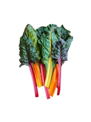 RAINBOW CHARD, BUNCH