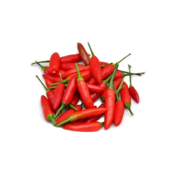 RED BIRD EYE CHILLI