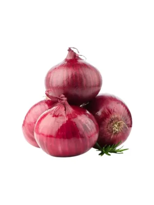 RED ONION
