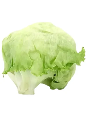 ROUND LETTUCE, SINGLE PCS