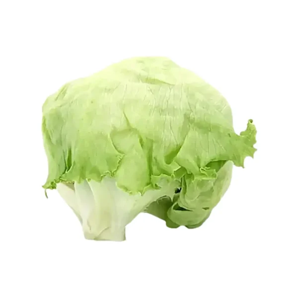ROUND LETTUCE, SINGLE PCS