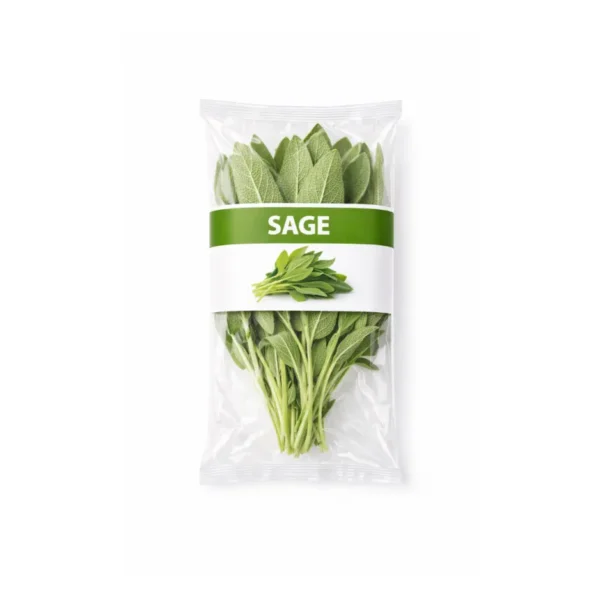 SAGE, PACKET