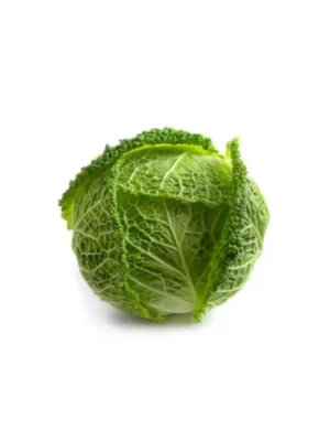 SAVOY CABBAGE, SINGLE PCS