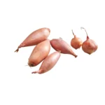 SHALLOTS ONION