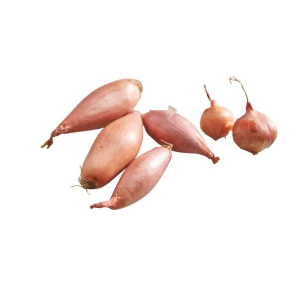SHALLOTS ONION