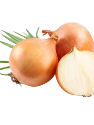 SPANISH ONION, BIG SIZE
