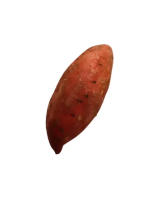 SWEET POTATO, SINGLE PCS