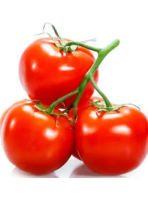 TOMATOES